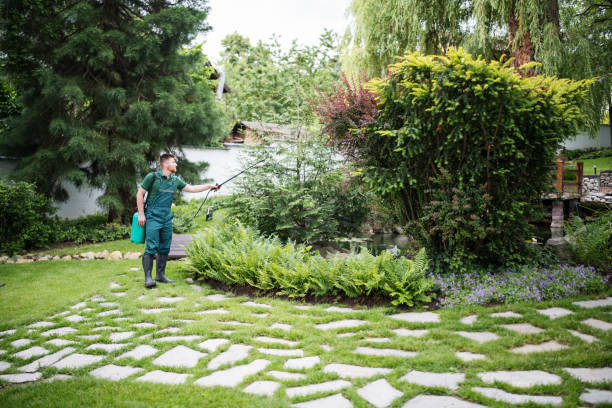 Best Pest Prevention Services  in Burnsville, MN