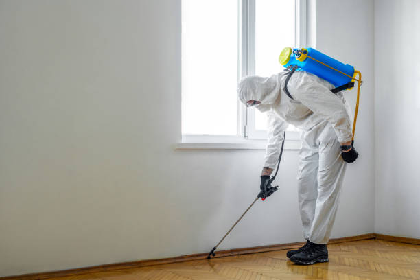 Trusted Burnsville, MN Pest Control Experts