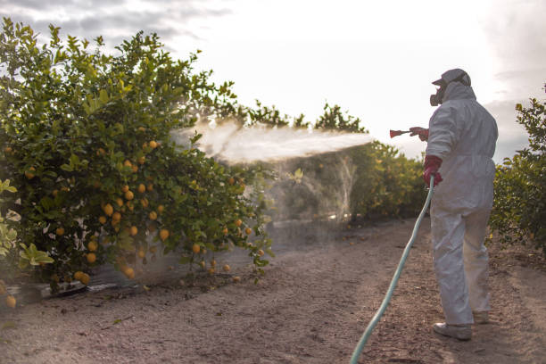 Best Bed Bug Extermination  in Burnsville, MN