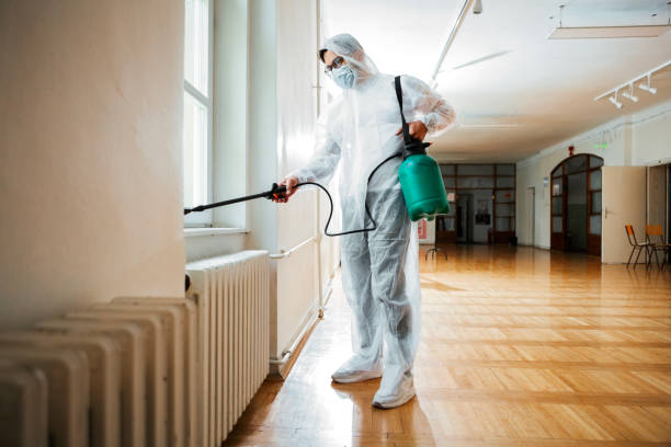 Best Termite Control Services  in Burnsville, MN